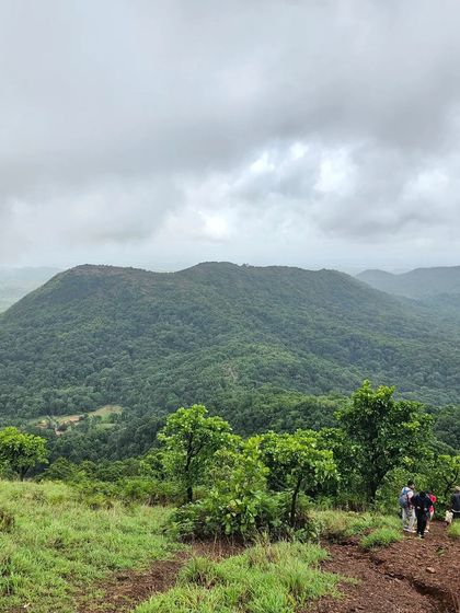The view from the Kodachadri trail, looking out over the rolling hills and dense forests of the region.