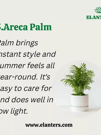 Plant Care Tips & Supplies photo 21