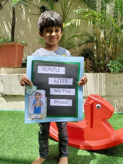 Purple Asters - Preschool & Daycare Learning Through Play photo 22