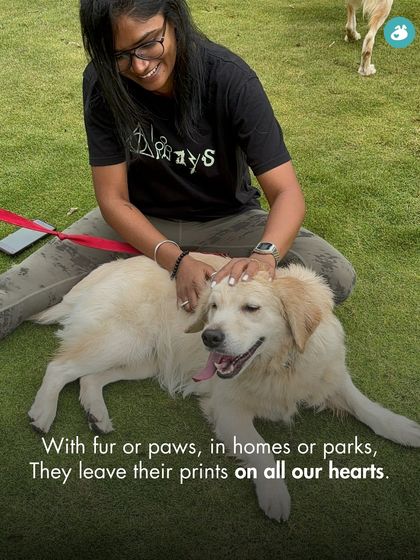 The Pack - Pet-Friendly Adventures & Meetups Meet the Pack: Our Community & Experts photo 5