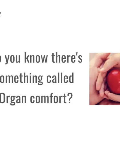 Did you know there is something called organ comfort? Your vital organs are not fixed in place; they hang loosely in the abdomen. Your posture directly impacts how well they can function.