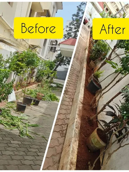 See the difference a day's work can make. On the left is an overgrown and messy garden path in Kilpauk. On the right is the same space after our team cleared the weeds, pruned the existing plants, and neatly arranged the pots.