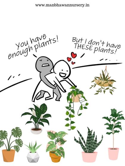 "You have enough plants!" "But I don't have THESE plants!" The eternal struggle of a plant lover. There's always room for one more.