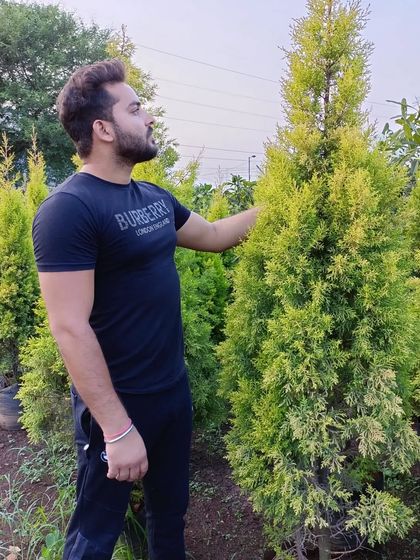 Our Nursery & Plant Collection photo 19