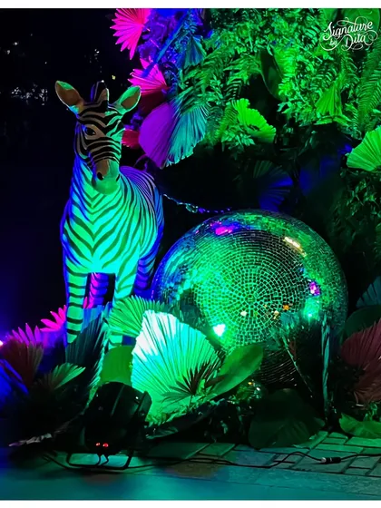 A duplicate of image 43, highlighting the detailed props like the zebra and disco ball that are essential for creating a high-impact, themed photo opportunity.