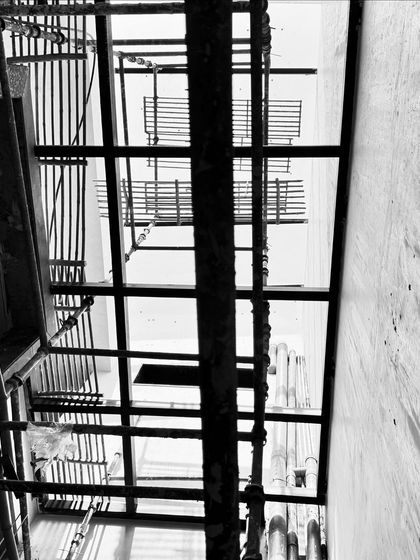 Looking up through the structural framing for a large skylight. This feature is designed to flood the central core of the building with daylight.