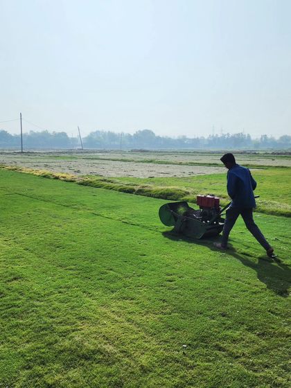 Delhi Gardner - Full-Service Landscaping Premium Lawn & Turf Solutions photo 54