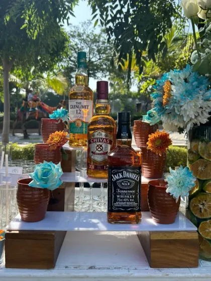 Themed & Custom Bar Designs photo 17