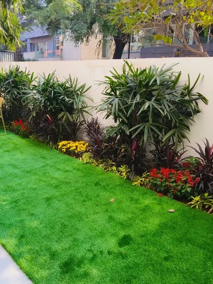 A clean and simple front yard design combining a bright green lawn with a layered border of shrubs and flowers against a white wall.