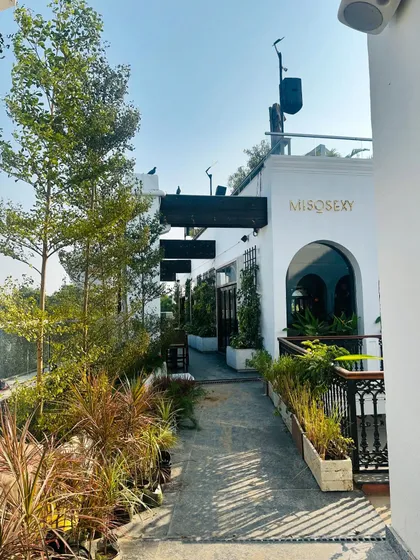 The same walkway at Miso Sexy seen during the day. We selected a variety of plants with different heights and textures to create a lush, layered border that feels vibrant and alive in the natural sunlight, offering a green welcome to daytime patrons.