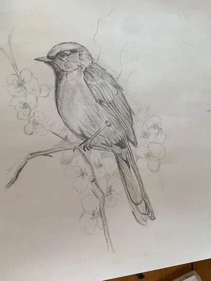 A student's sketch of a bird surrounded by blossoms, combining nature drawing with delicate composition.