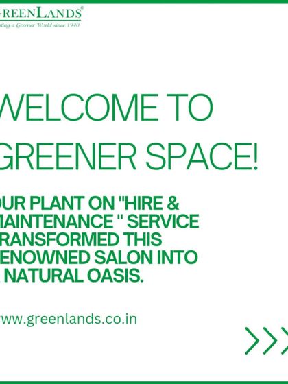 Hospitality & Commercial Spaces photo 4