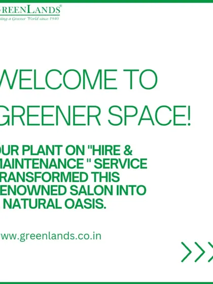 We offer a complete "Plants on Hire & Maintenance" service. This graphic introduces our transformation of a renowned salon into a natural oasis, welcoming clients to a greener space.