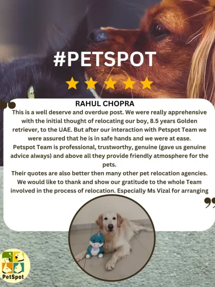 Dr. Rahul Chopra was apprehensive about relocating his 8.5-year-old Golden Retriever, but our professional and friendly team put him at ease. We're thrilled we could provide a trustworthy service for his boy's move to the UAE.