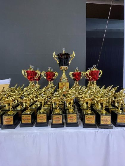 The trophies for the Asian Martial Arts Championship. These symbols of victory inspire us all to train harder.