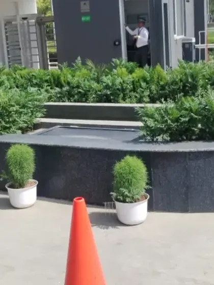 A formal and clean entrance design for a commercial property, featuring a curved planter with dense green shrubs and accented by small, spherical topiary plants in white pots. This creates a professional first impression.
