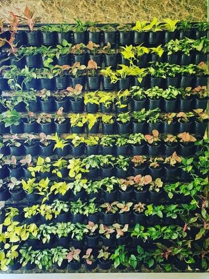 Signature Features: Vertical Gardens & Water Bodies photo 4