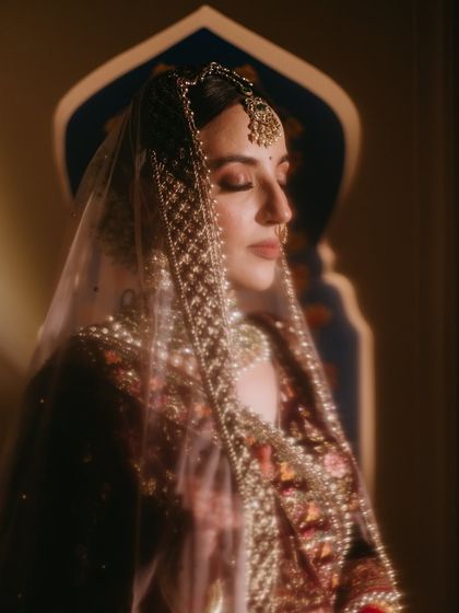 Picsurely - Wedding Photography & Cinematography Radiant Bridal Portraits photo 68