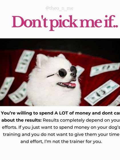 I'm very direct about my training style, so I want you to know if we're the right fit. I believe in empowering you, the owner, to build a strong relationship with your dog through positive reinforcement, not quick fixes or harsh methods.