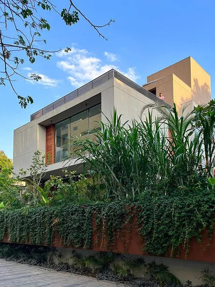 The lush, overgrown look of the planter wall, where a variety of plants with different textures and heights create a wild, natural feel that contrasts with the clean lines of the modern home.