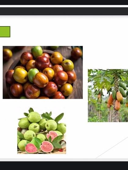 A screenshot from our online workshop teaching kids about local and seasonal produce, like the fruits of Haryana. Eating local reduces food miles and supports a more sustainable food system.