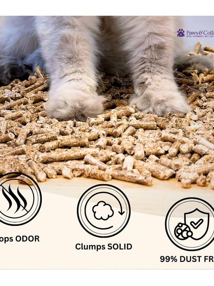 PawsnCollars - Pet Supplies For Our Feline Friends photo 12