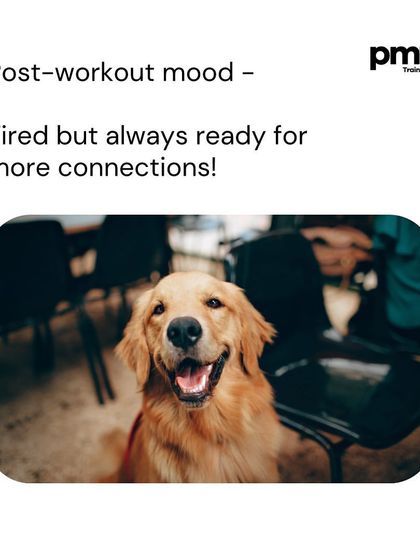 This happy dog represents the post-workout mood. Tired, but always ready for more connections, thanks to that oxytocin high.
