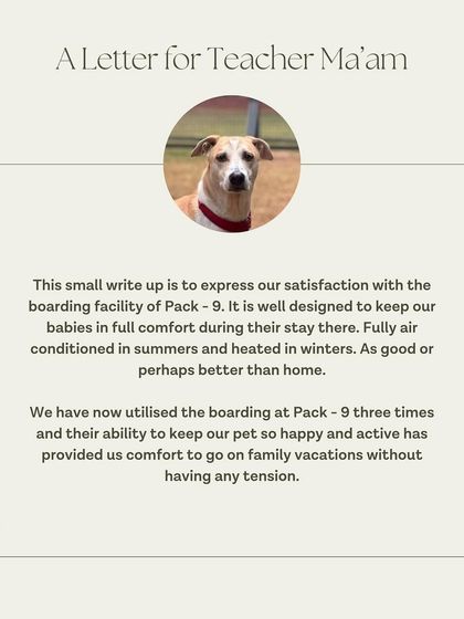 Yoda's family has used our boarding services three times, allowing them to go on family vacations without any tension. We are so happy to be their trusted choice.