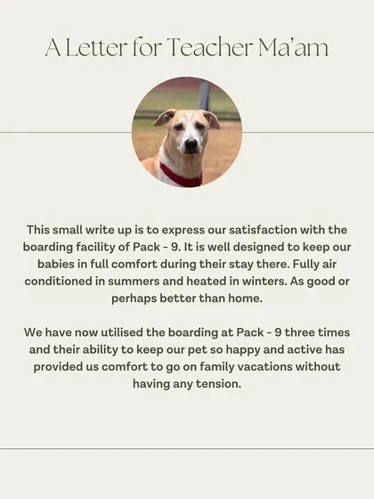 Yoda's family has used our boarding services three times, allowing them to go on family vacations without any tension. We are so happy to be their trusted choice.