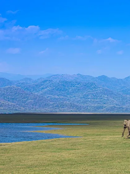 A wide shot of an elephant by the water, with the mountains in the distance. Using the landscape as a key element of the composition creates a sense of place and grandeur.