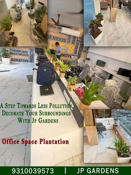 I bring nature indoors to improve the work environment. This collage shows an office space plantation project where I used a variety of low-maintenance indoor plants like ferns and aglaonema in stylish pots to decorate desks and common areas.