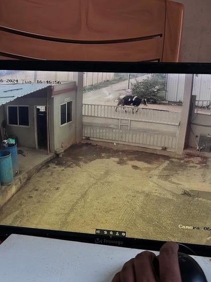 Sadwini Infotech - Security System Installation Residential Security Setups photo 25