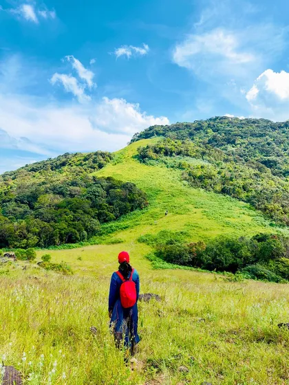 A trekker walking through the tall grass towards the peak.