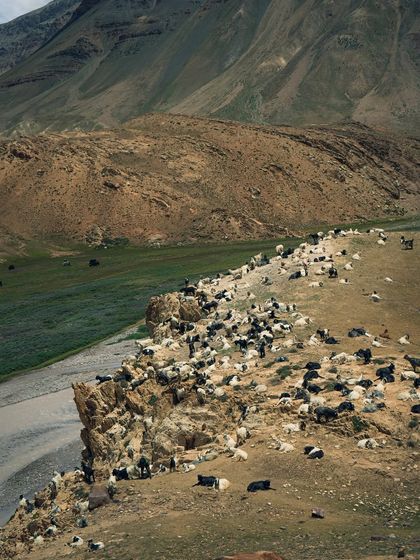 Garima Bhaskar - Photography Services Travel Diaries: Global & Local photo 54