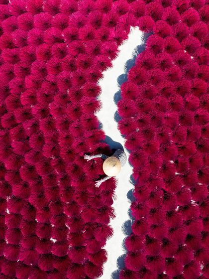 Cultural Canvas: Festivals & Traditions photo 24