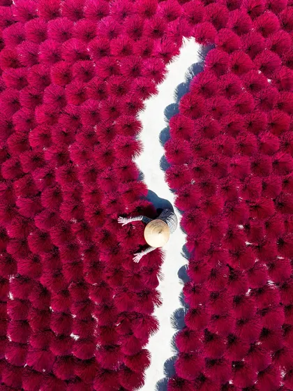 Incense in the making. A top-down aerial photo submitted for a photography contest, capturing the culture and tradition of the Quang Phu Cau village.