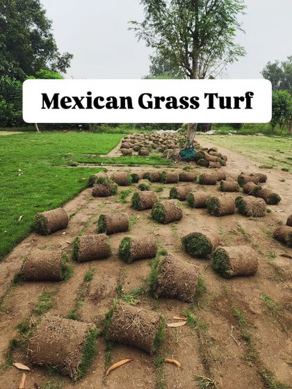 Delhi Gardner - Full-Service Landscaping Premium Lawn & Turf Solutions photo 5