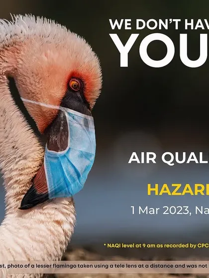 This image is a direct and urgent message about the environmental crisis we face. I created this composite of a lesser flamingo wearing a mask when the air quality in Navi Mumbai reached hazardous levels. It's a stark visual question: if we need masks to breathe, what about the wildlife that has no choice?