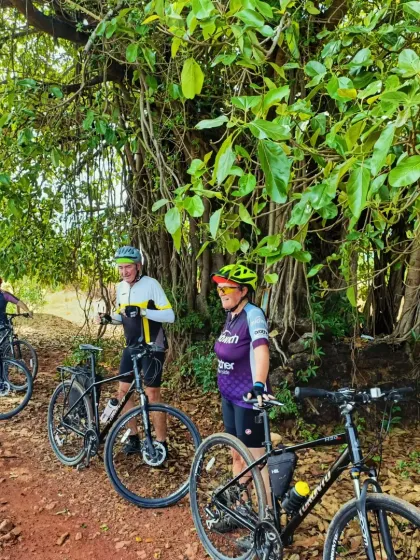 Taking a break under the cool shade of a massive banyan tree. Our West Coast ride includes many such moments to rest, rehydrate, and appreciate the natural beauty of the Karnataka and Goa countryside.