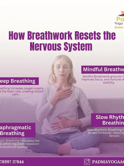 Your breath is a powerful tool to reset your nervous system. I teach various breathwork techniques, from deep diaphragmatic breathing to mindful, rhythmic patterns. These practices are fundamental for managing stress, lowering cortisol, and finding instant calm in your daily life.