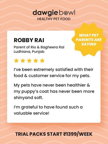 I am so grateful for reviews like this from Punjab. Knowing that a pet has never been healthier, with a shiny coat, confirms that our food and customer service are making a real difference.