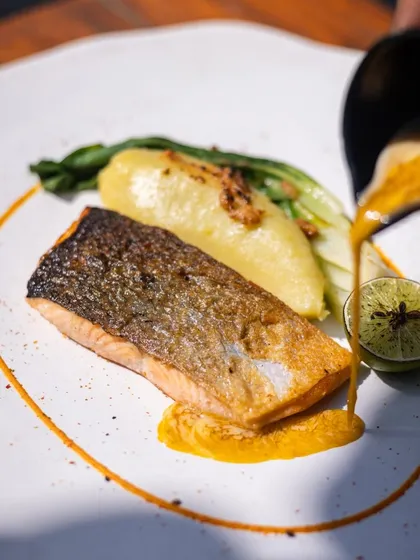 A beautifully cooked piece of salmon, with crispy skin and moist flesh, served over carrot puree and mashed potato with a saffron beurre blanc.