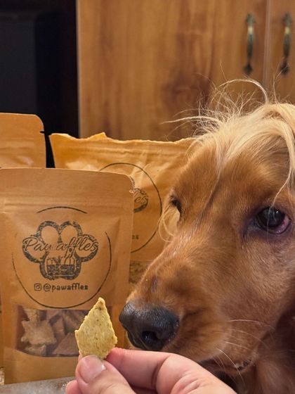 Another one of the healthy, homemade treats from Pawaffles. We love supporting small businesses that make quality products.