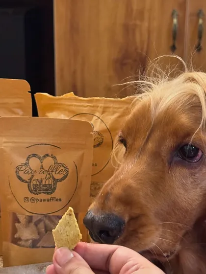 A close-up of the crunchy, healthy treats from Pawaffles. Posto gives them a five-paw rating.