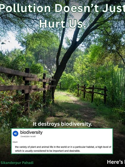 This image defines biodiversity and shows a restored path at Sikanderpur Pahadi. Our work is about bringing back the variety of plant and animal life that makes an ecosystem healthy.