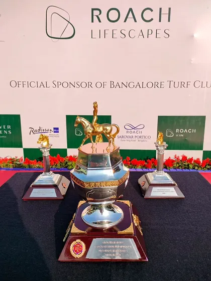 A display of the magnificent trophies for the Roach Lifescapes sponsored race, demonstrating how we integrate sponsor branding into every aspect of the presentation ceremony.