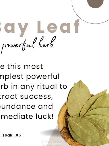 Bay Leaf Manifestation Rituals photo 3