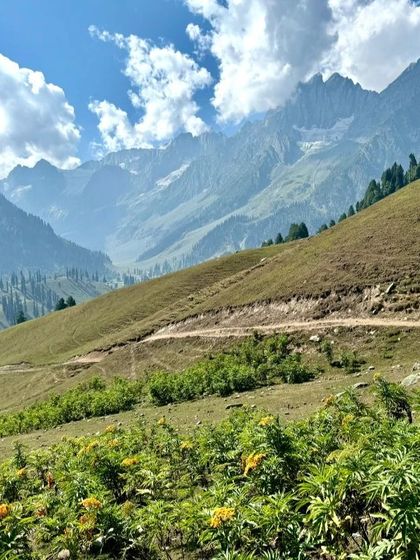 A sunny day on the trail, with vibrant wildflowers in the foreground and majestic peaks in the distance. The natural beauty here is simply stunning.