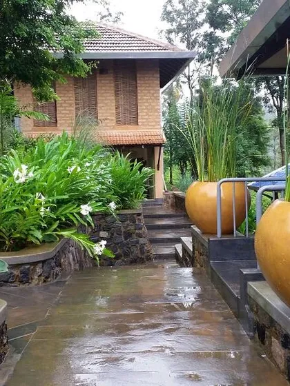 The landscaped pathway at PLENTI House, where large terracotta pots and lush plants create a welcoming and vibrant atmosphere.