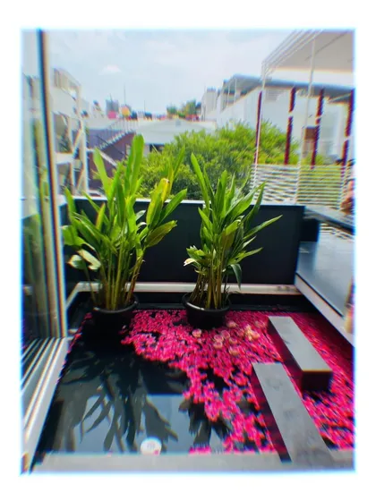 A creative water feature on a small balcony. We designed a shallow pond decorated with vibrant pink flower petals and flanked by potted plants, turning it into a unique and artistic focal point.